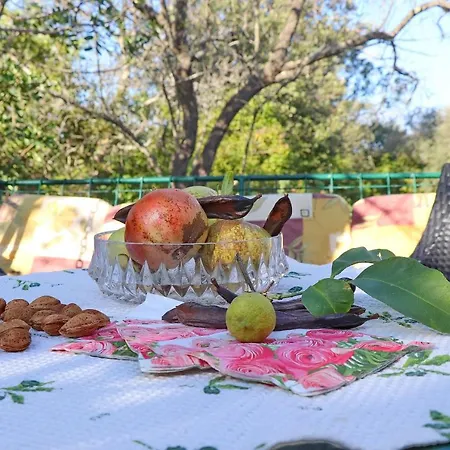 Stone House Oreb's Chalet